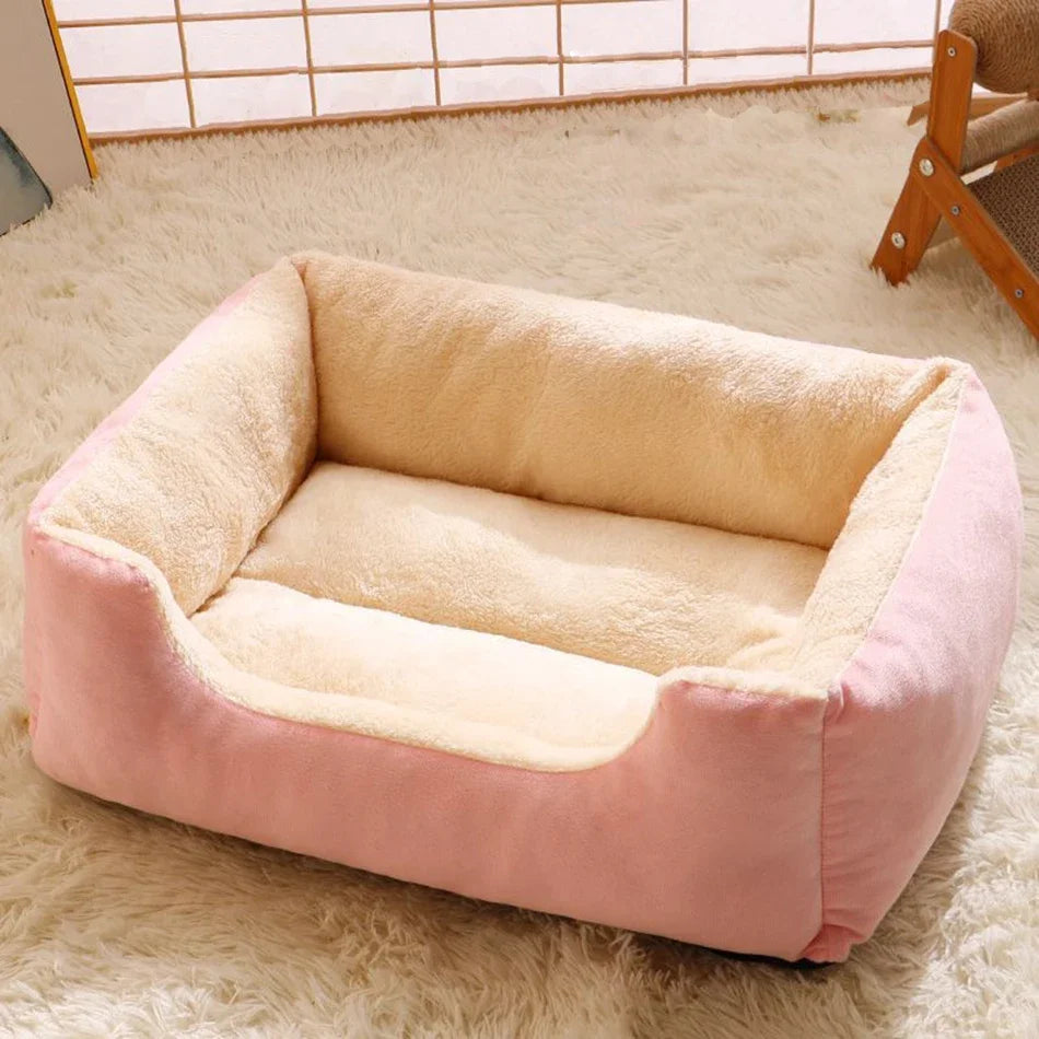 Cushioned Basket Bed for Cats & Small Dogs
