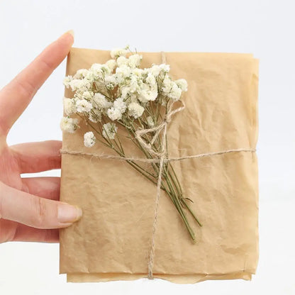 Flower Eternal Dry Flowers Gypsophila Floral Arrangement Dried Flower Creative DIY Home Wedding Decoration Gift 50 Pieces
