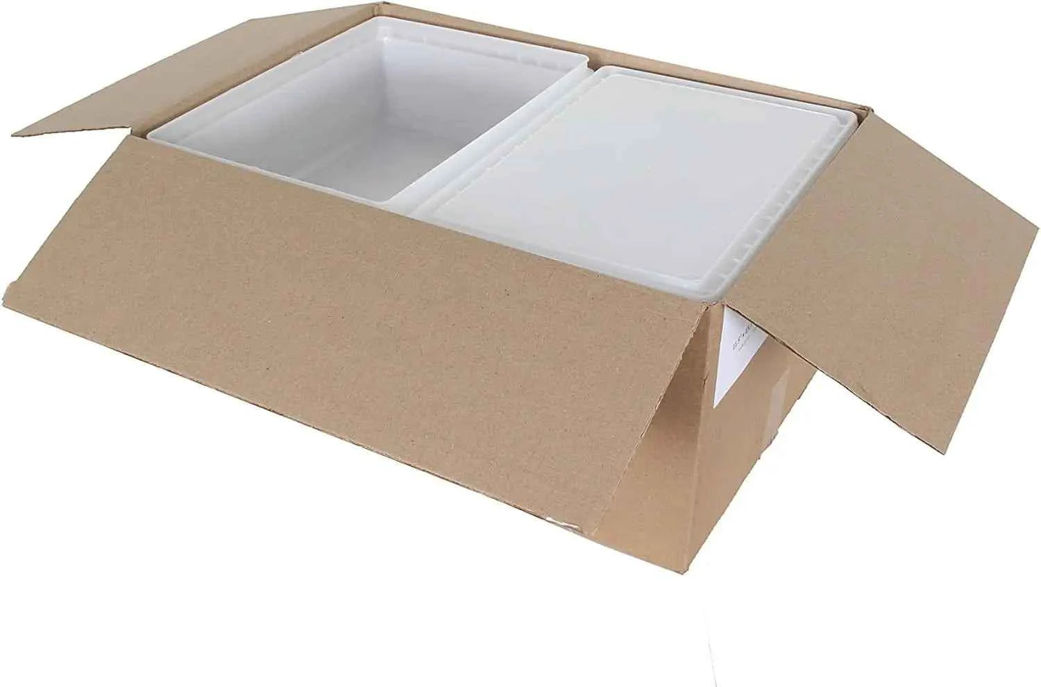 Fish Tubs/Food Storage Bins 25lb 11.5" x 15.5" x 5", Pack of 10 Deep Bases with Lids