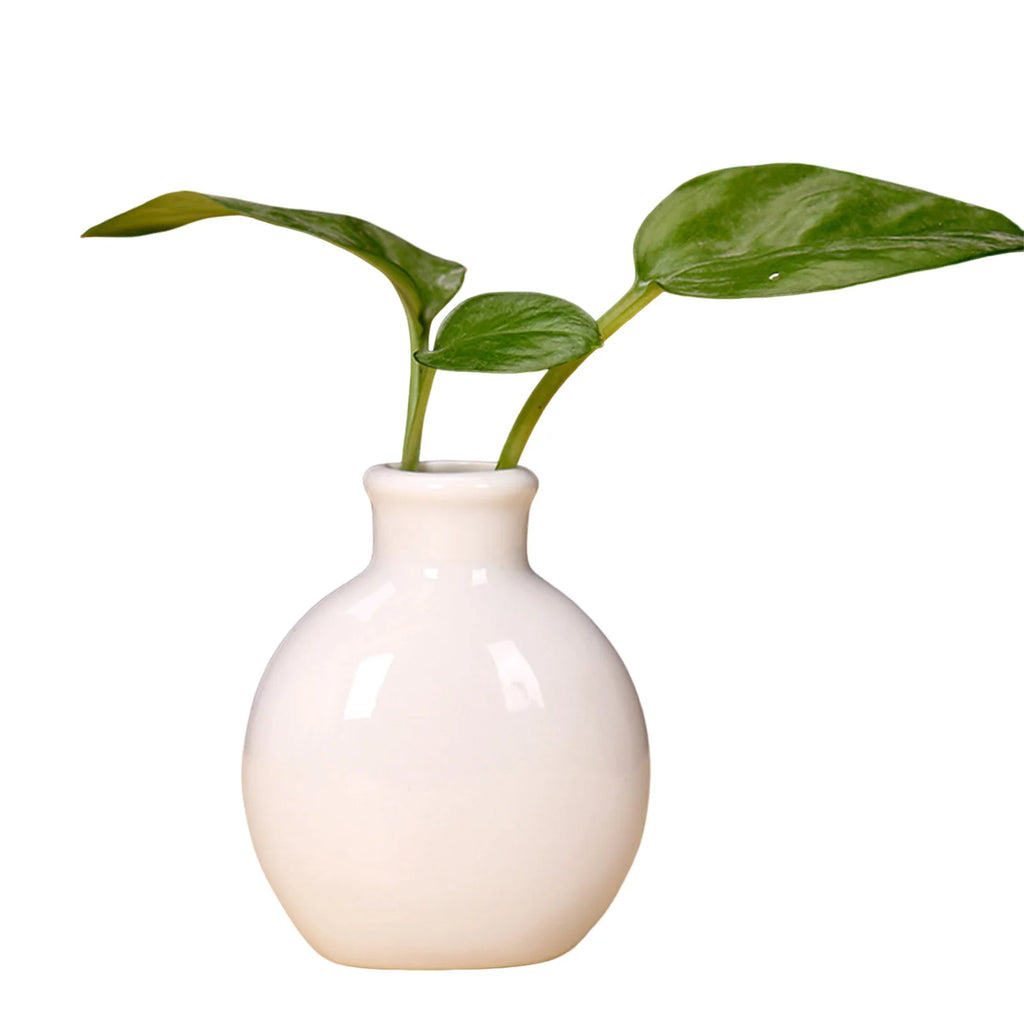 Mini Ceramic Bud Vase — Small Decorative Flower Vase for Home, Desk & Bathroom Decor