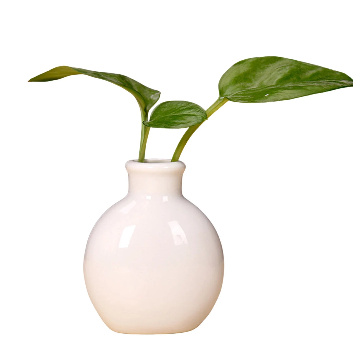 Mini Ceramic Bud Vase — Small Decorative Flower Vase for Home, Desk & Bathroom Decor