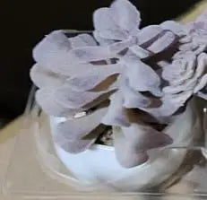 Pink Flocking Artificial Succulents Plants With Pot For Home Garden Decoration Fake Bonsai Flower Planta Artificial Accessories