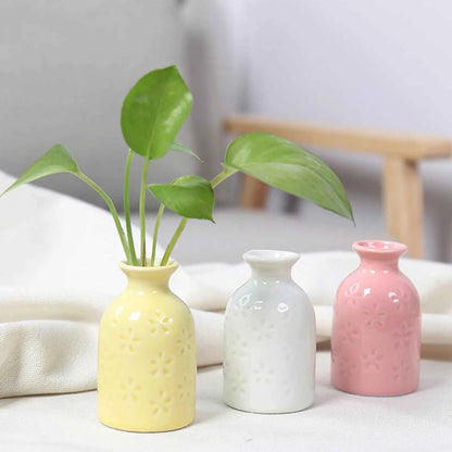 Ceramic Flower Vase Pot Hydroponic Bottle Creative Vase for Plants Office Desktop Ornament Home Room Decor Garden Flowerpot