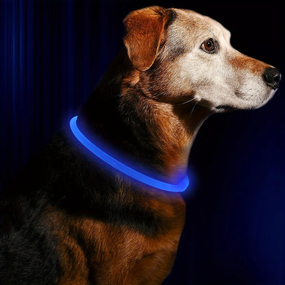 USB Rechargeable LED Light-Up Dog Collar