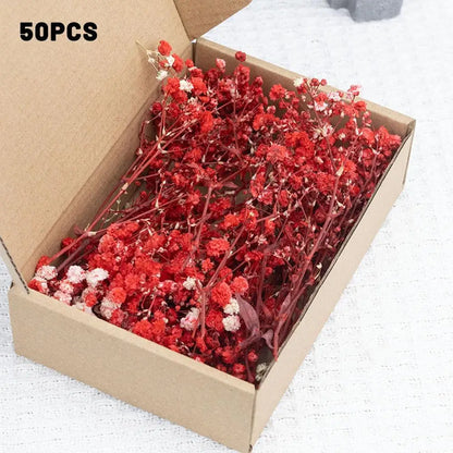 Flower Eternal Dry Flowers Gypsophila Floral Arrangement Dried Flower Creative DIY Home Wedding Decoration Gift 50 Pieces