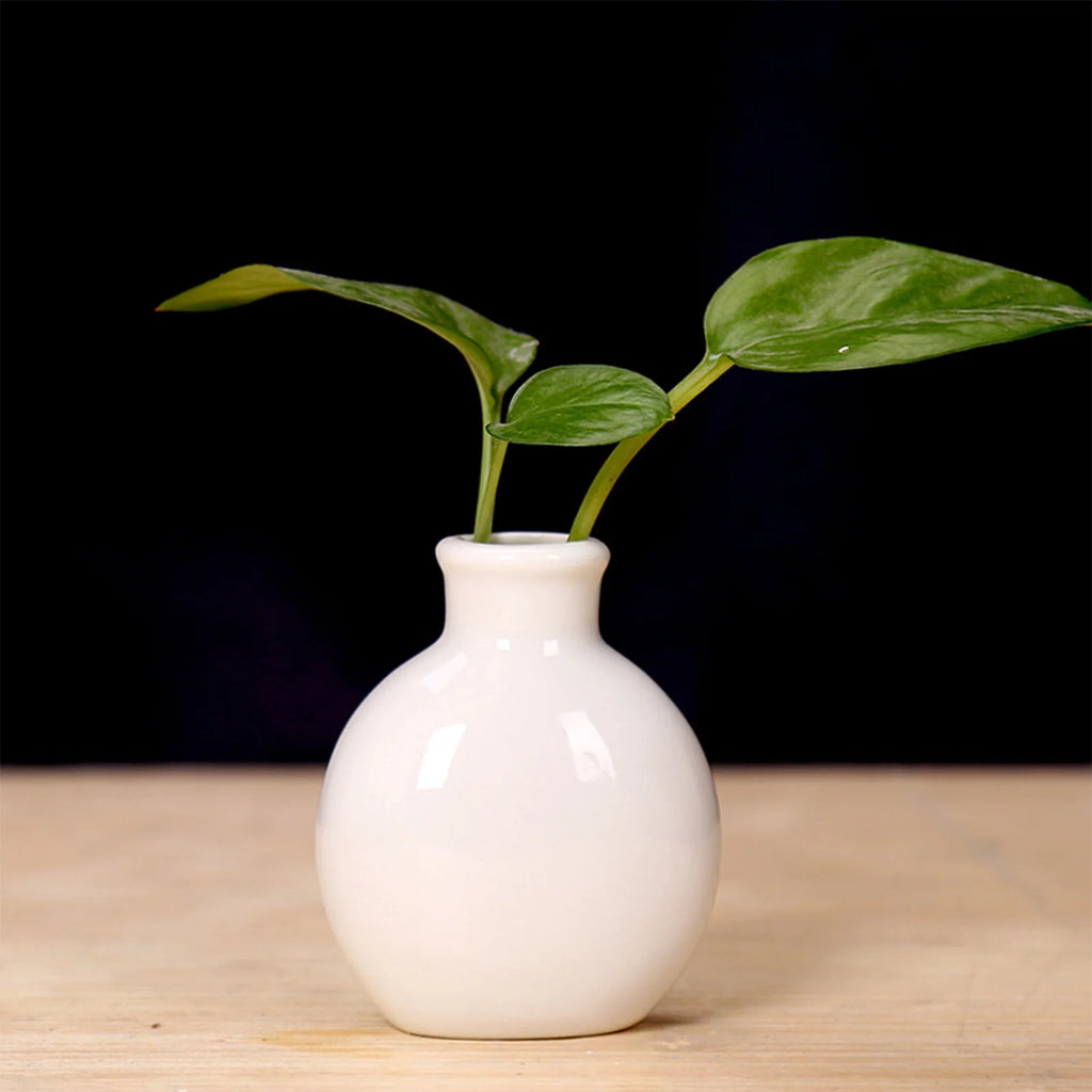 Mini Ceramic Bud Vase — Small Decorative Flower Vase for Home, Desk & Bathroom Decor