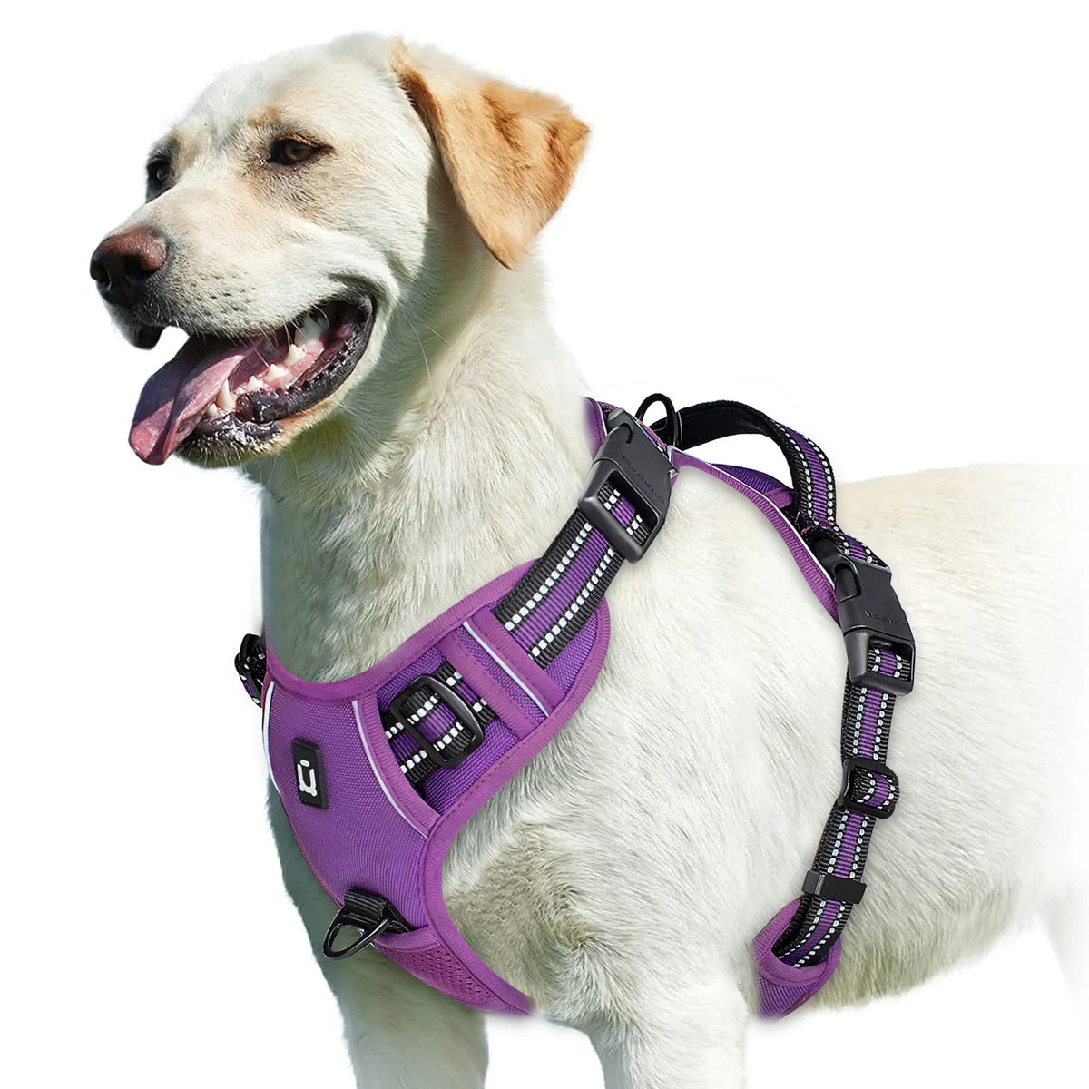 No-Pull Adjustable Dog Harness with Control Handle