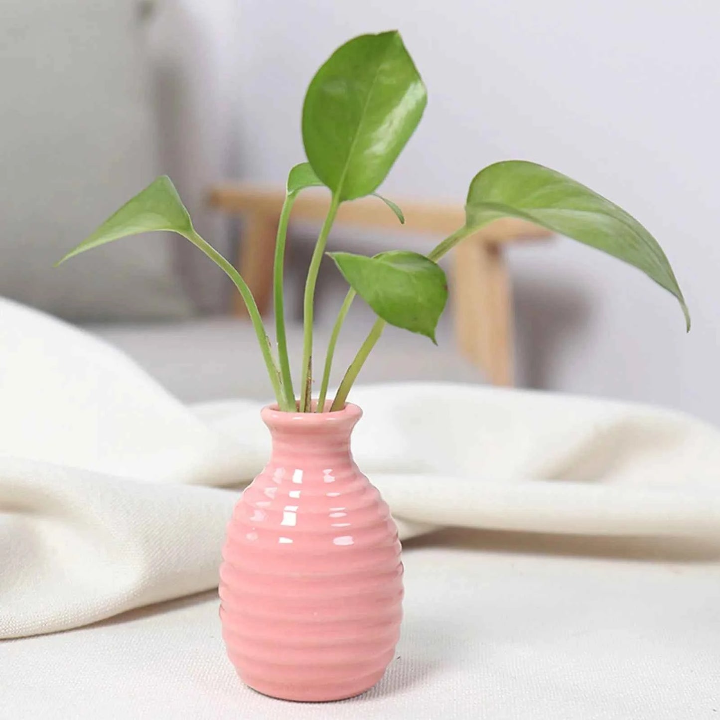 Ceramic Flower Vase Pot Hydroponic Bottle Creative Vase for Plants Office Desktop Ornament Home Room Decor Garden Flowerpot