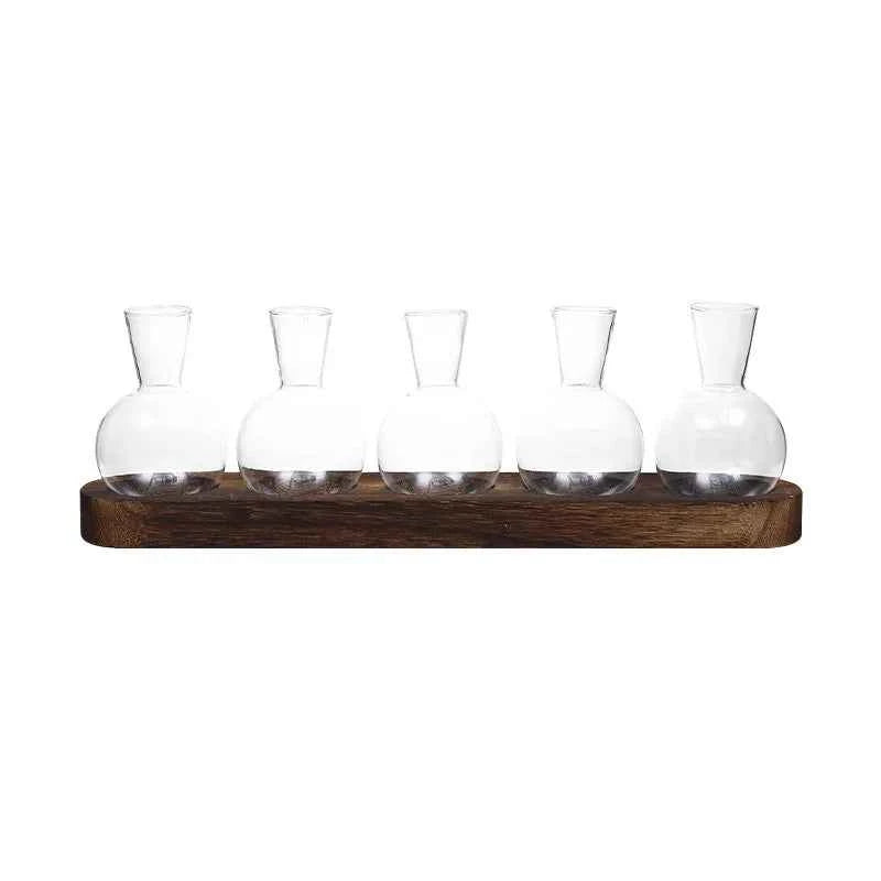 Modern Glass Plant Terrarium with Wooden Tray – Hydroponic Vase for Indoor Propagation Station, Desktop Home Office Decor