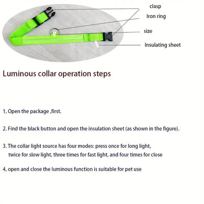 LED Flashing Glow-in-the-Dark Nylon Dog Leash