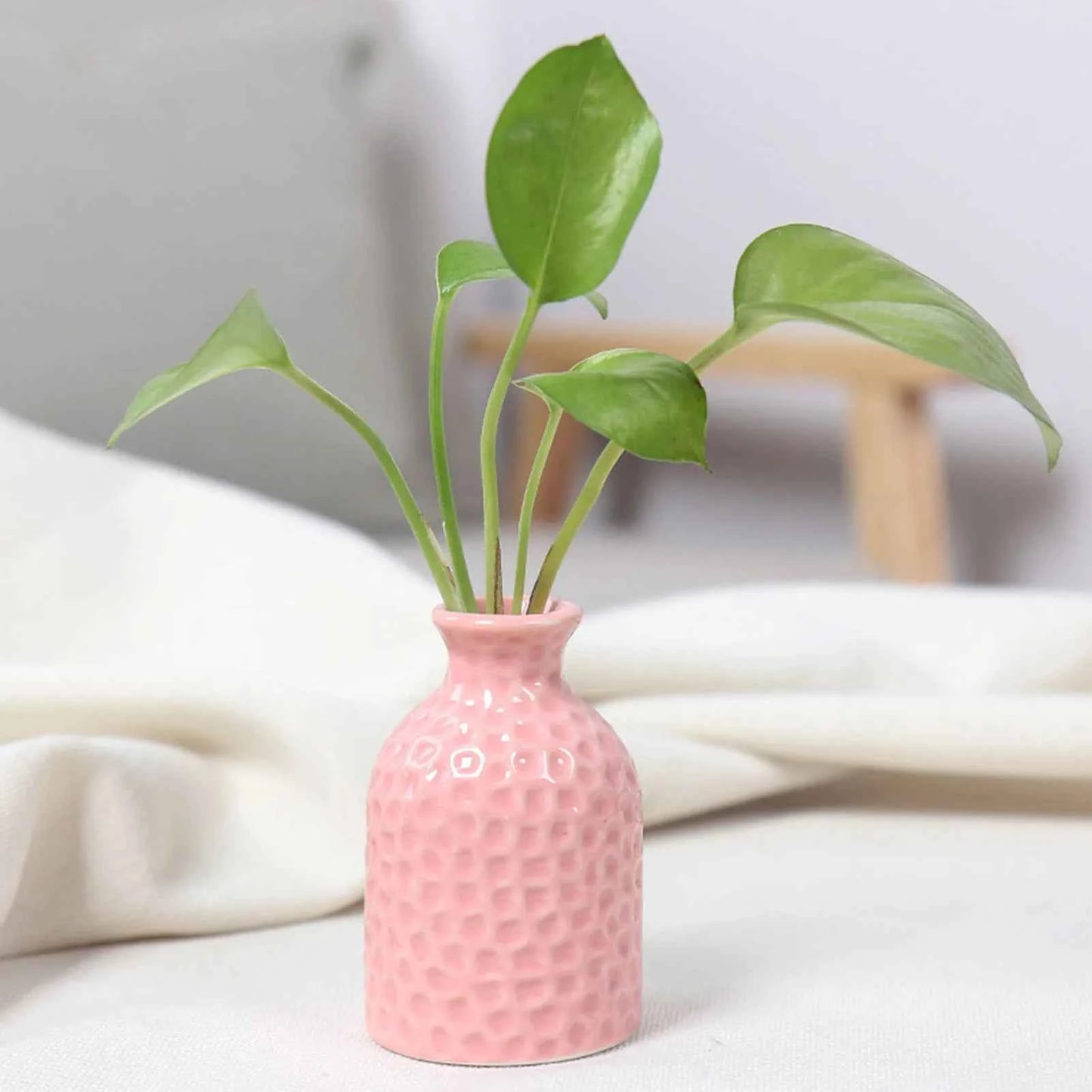 Ceramic Flower Vase Pot Hydroponic Bottle Creative Vase for Plants Office Desktop Ornament Home Room Decor Garden Flowerpot