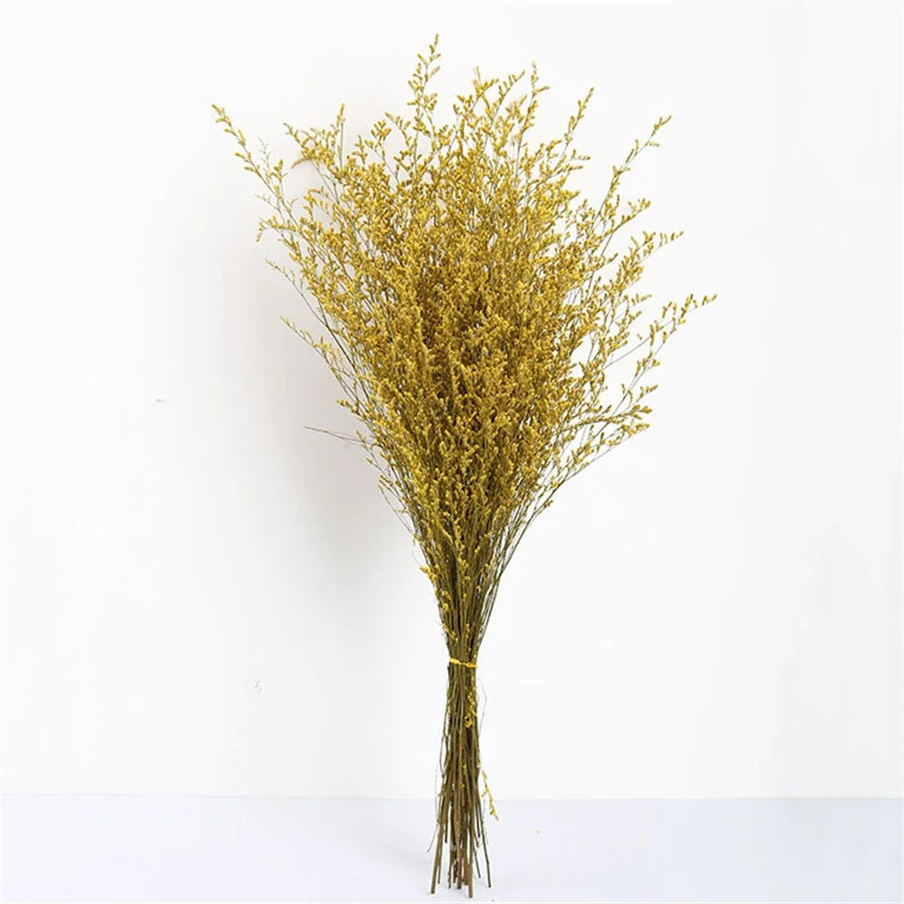 Lover Flower Bouquet,Natural Dried Flowers,Real Preserved Dancing Forever Flower,Grass Branch for Home Decoration,Wedding,Garden