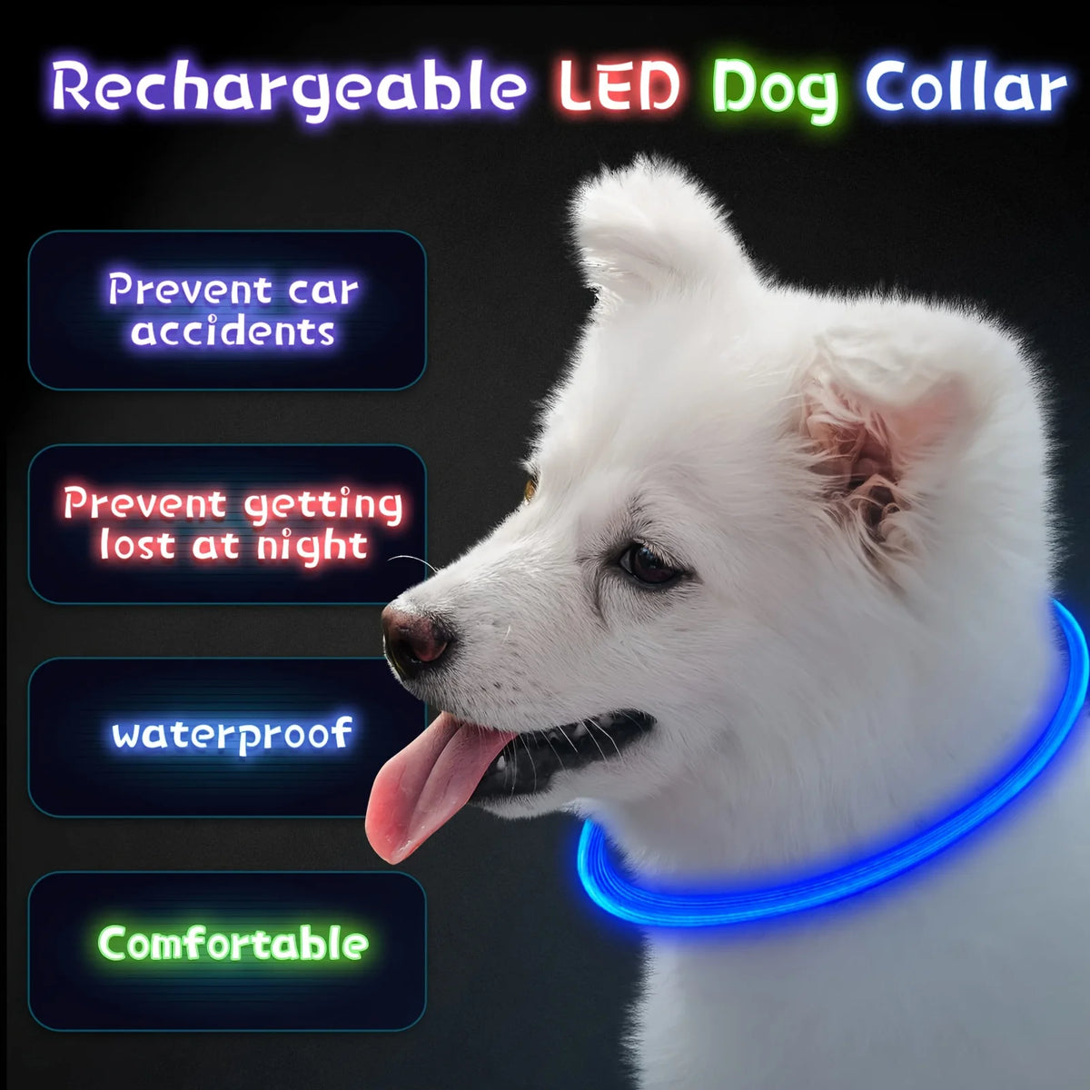 USB Rechargeable LED Light-Up Dog Collar