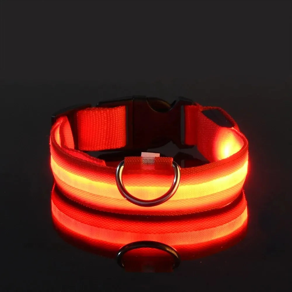 LED Flashing Glow-in-the-Dark Nylon Dog Leash