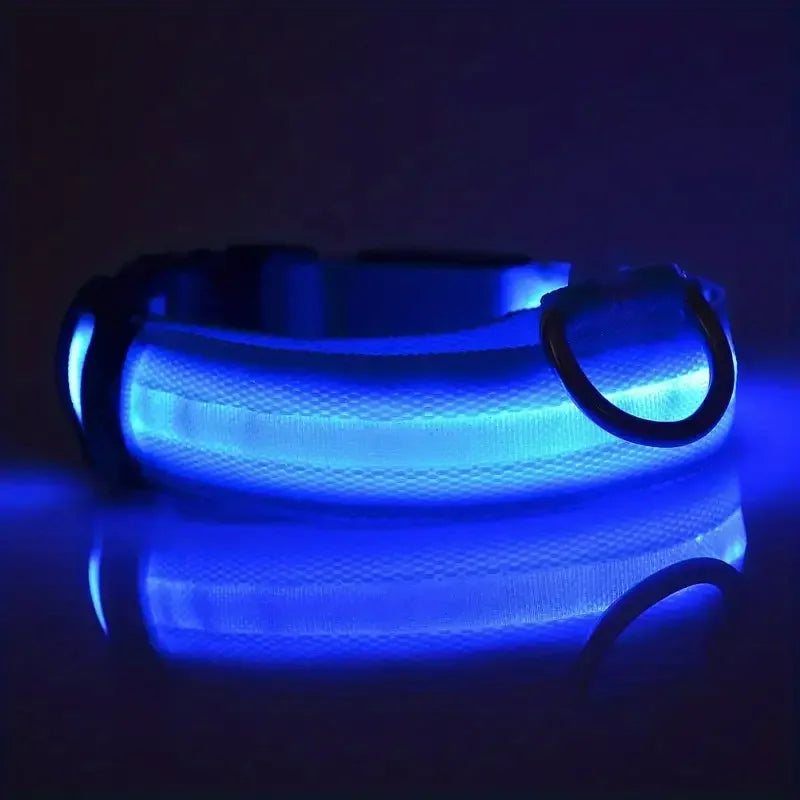 LED Flashing Glow-in-the-Dark Nylon Dog Leash