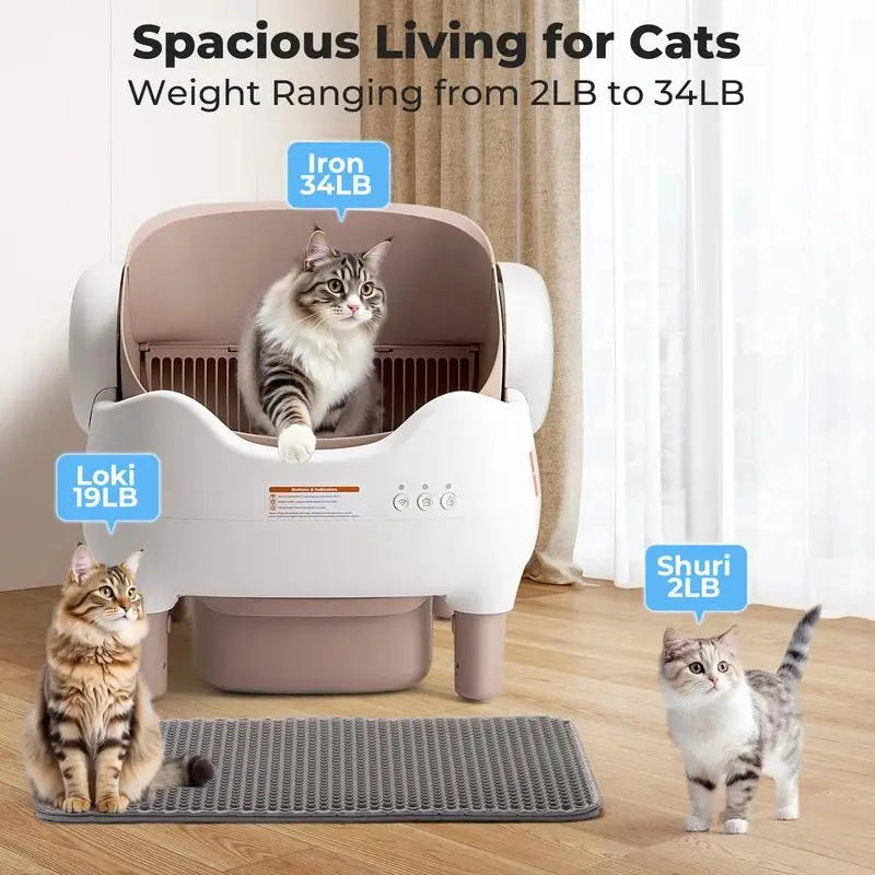 Self-Cleaning Cat Litter Box — Open-Top, APP Control & 10L Waste Bin for Multi-Cats