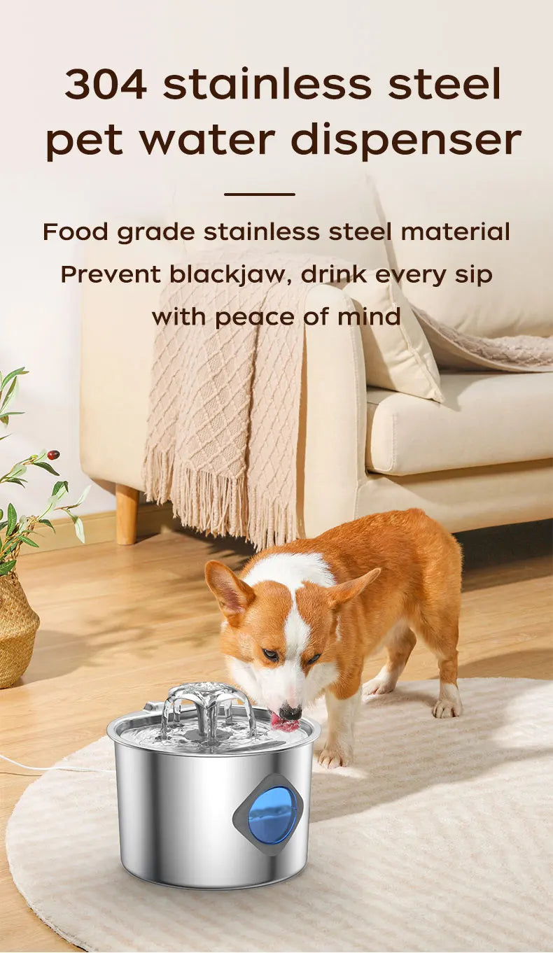 Stainless Steel Cat Water Fountain, 74oz, Quiet Pump