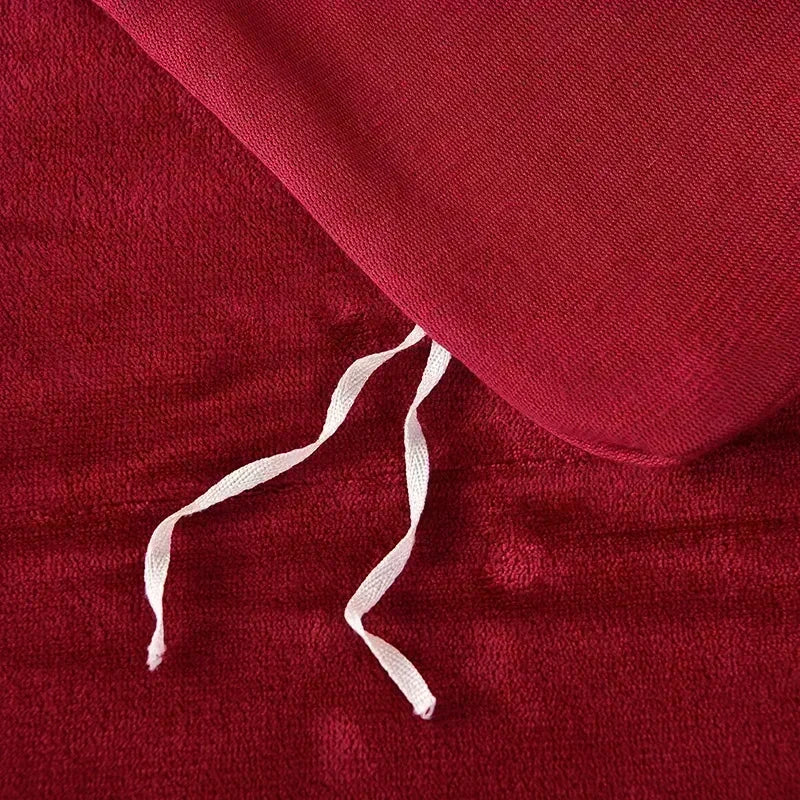 High-end Milk Velvet Autumn Winter Warm Duvet Cover Set with Bed Sheet Quilt Cover and Pillowcases Warmth Cozy Bedding Set Queen