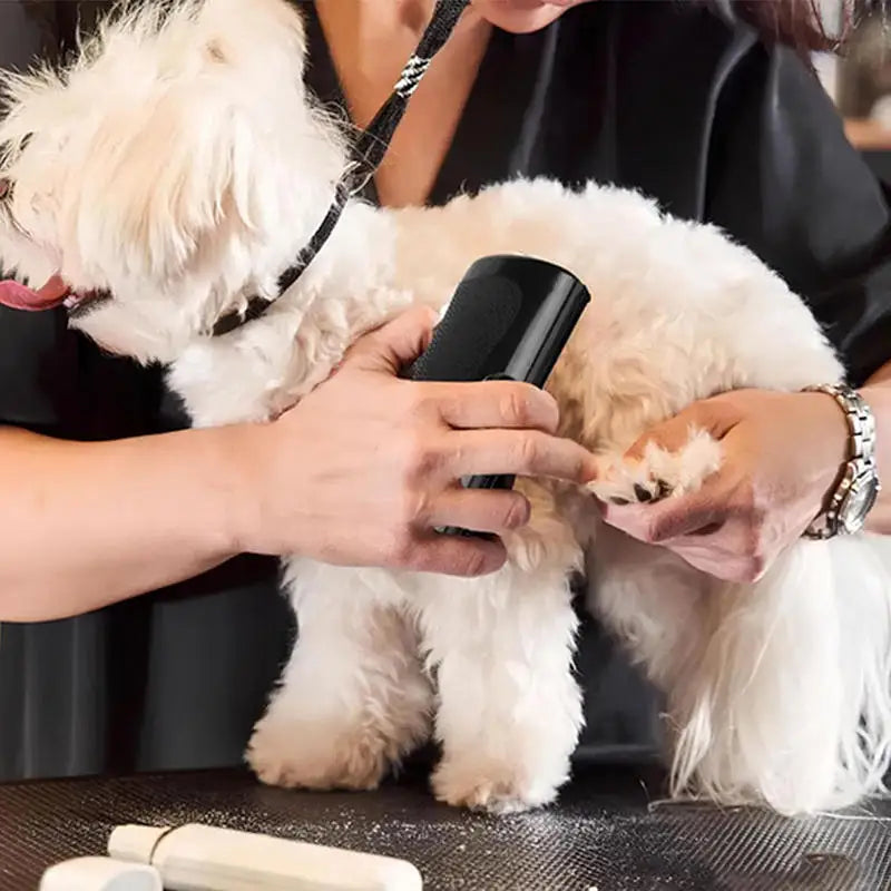Ergonomic Professional Pet Deshedding Brush