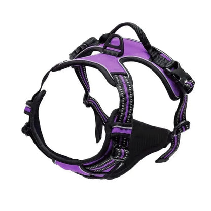 Dog Collar, Harness & Leash Set — Leather Puppy Accessories for Small, Medium & Large Dogs