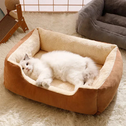 Cushioned Basket Bed for Cats & Small Dogs