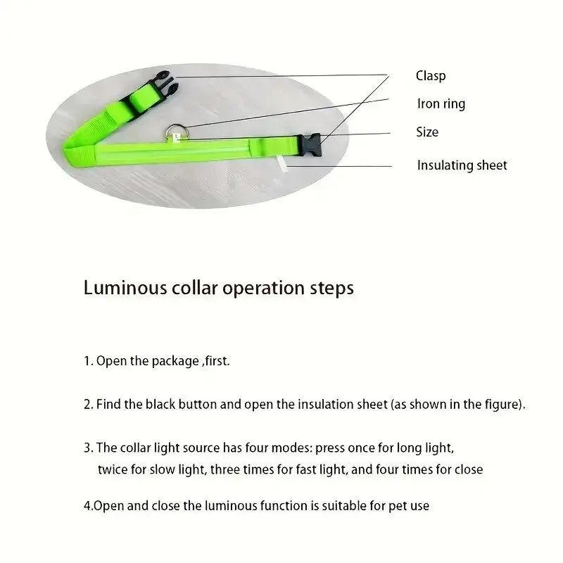 LED Flashing Glow-in-the-Dark Nylon Dog Leash