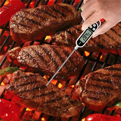 TP300 Probe Thermometer with 0.1°C Resolution, HOLD Function and 9.65 Inch Probe for Kitchen and BBQ