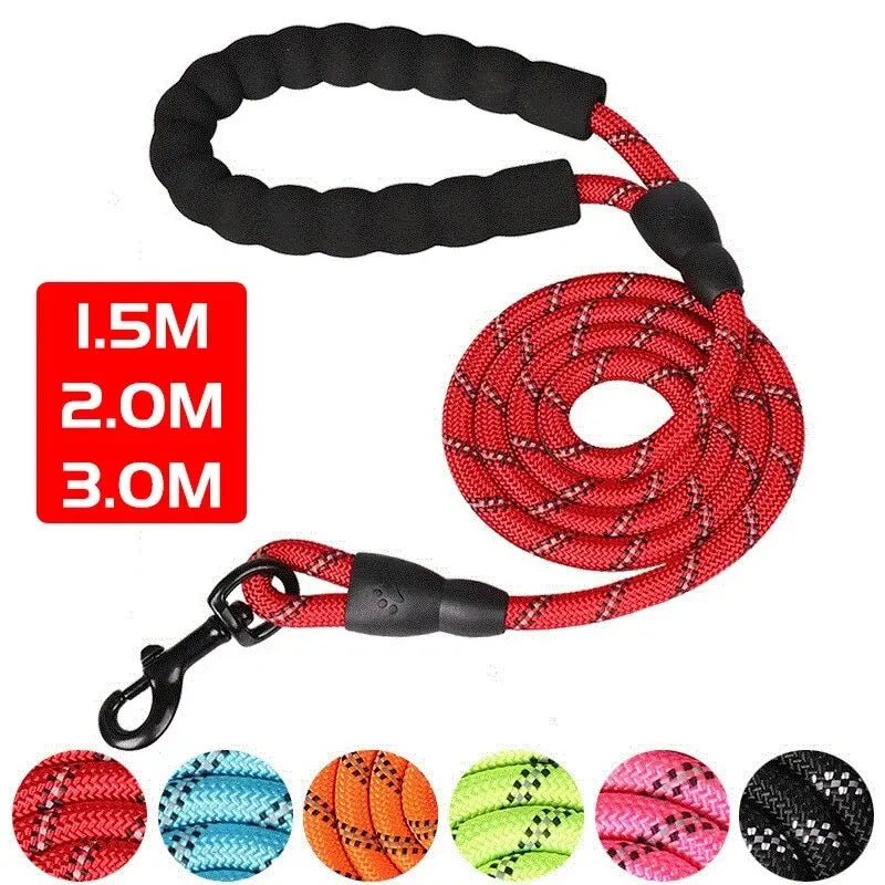 Heavy-Duty Reflective Dog Leash with Padded Handle
