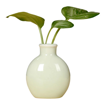 Mini Ceramic Bud Vase — Small Decorative Flower Vase for Home, Desk & Bathroom Decor
