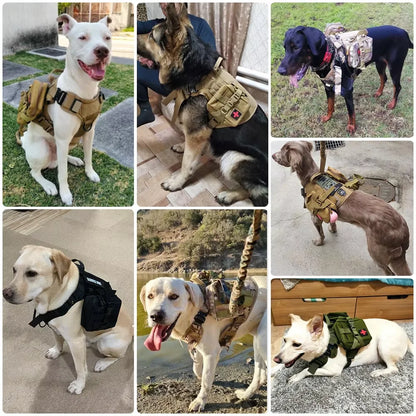 Tactical Dog Harness with Leash & Detachable Pouches
