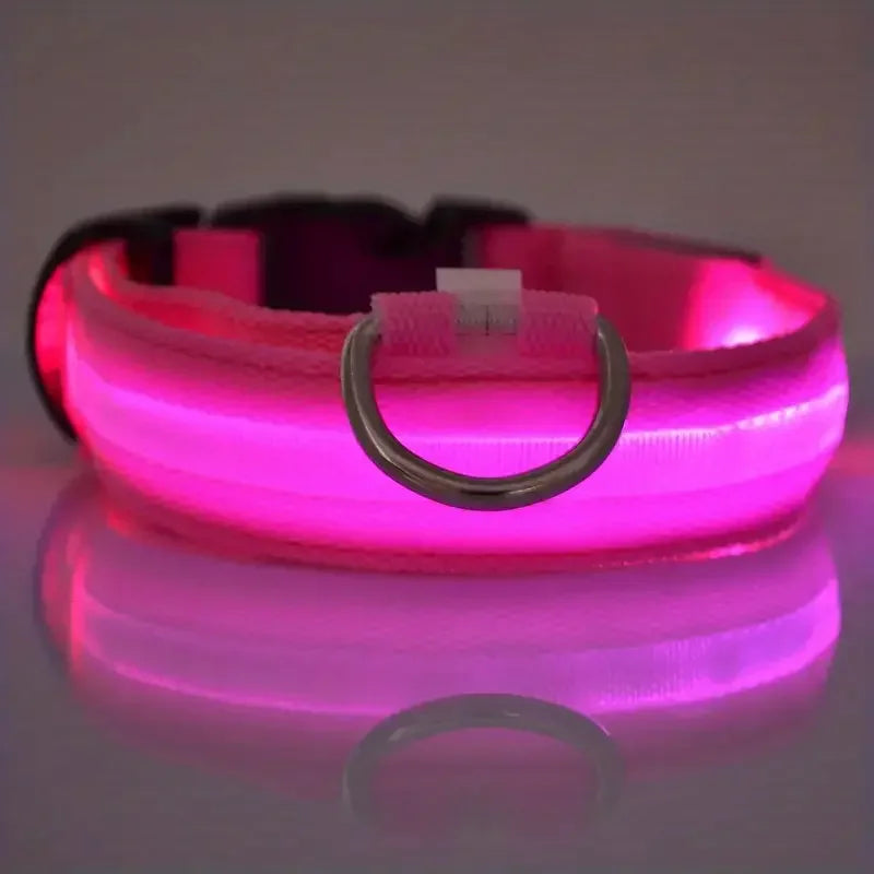 LED Flashing Glow-in-the-Dark Nylon Dog Leash