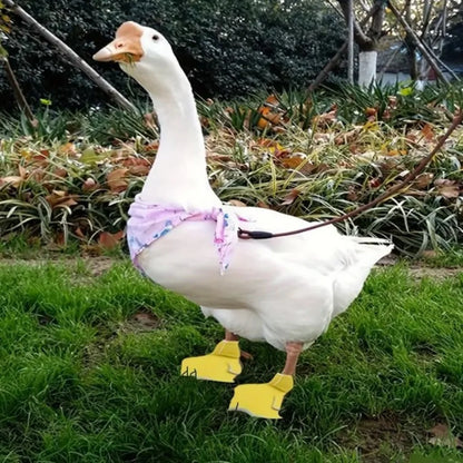 Pet Duck & Bird Protective Boots – Cute Goose Shoes Foot Cover Set