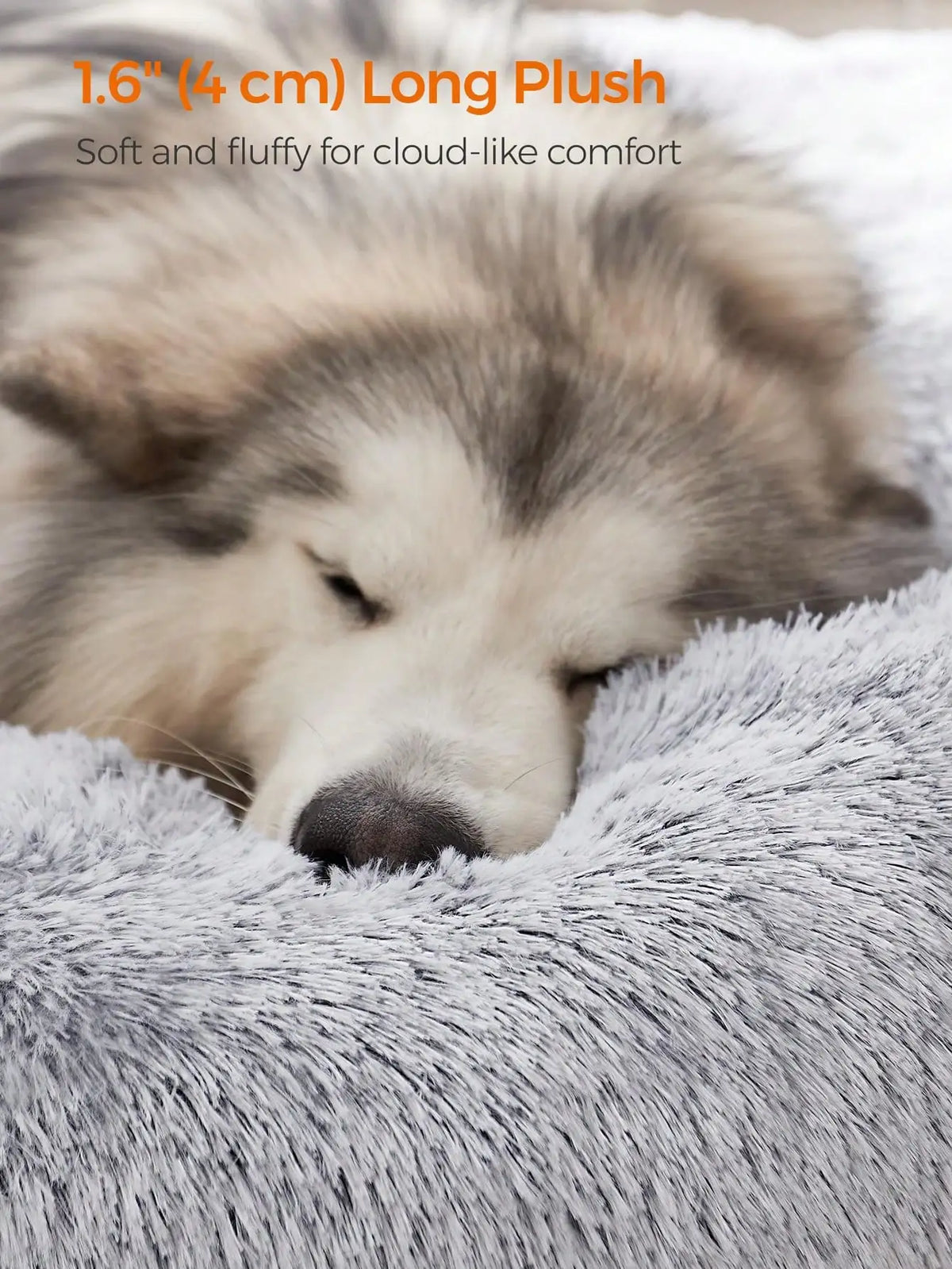 Plush Round Pet Bed, Warm All-Season Comfort