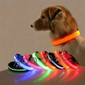LED Flashing Glow-in-the-Dark Nylon Dog Leash
