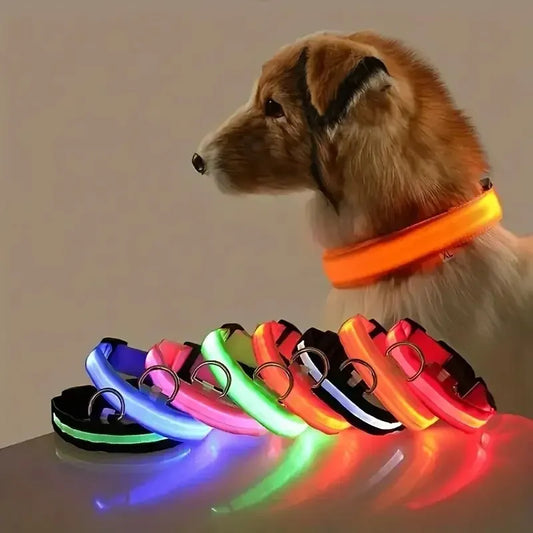 LED Flashing Glow-in-the-Dark Nylon Dog Leash