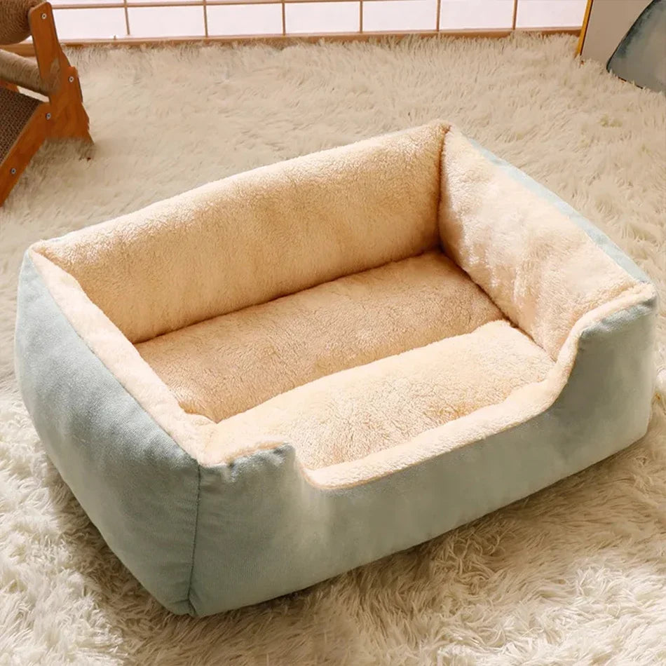 Cushioned Basket Bed for Cats & Small Dogs