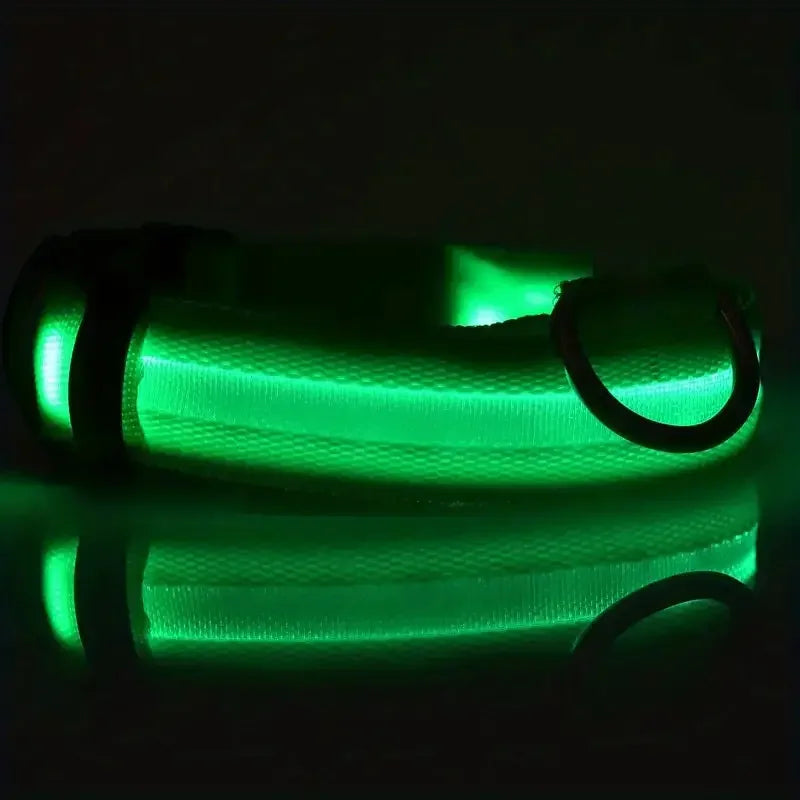 LED Flashing Glow-in-the-Dark Nylon Dog Leash