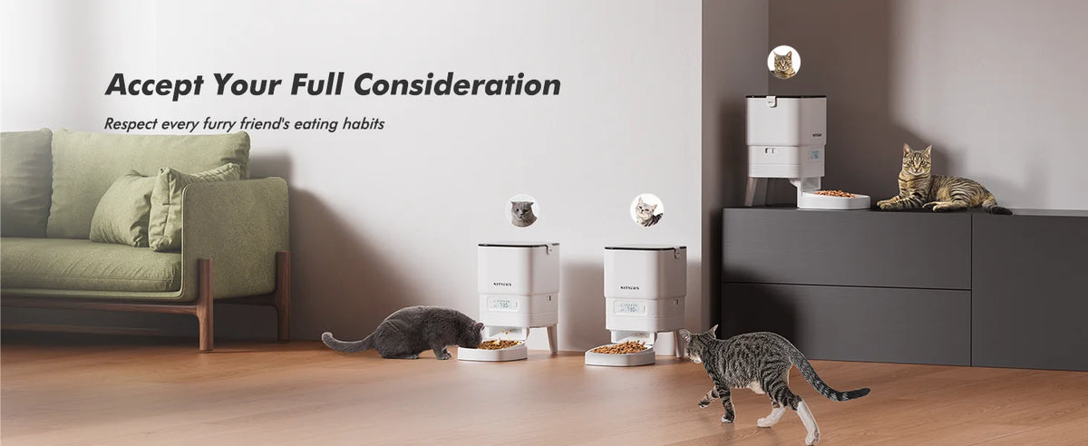 4.5L Smart Automatic Feeder, App Remote Control