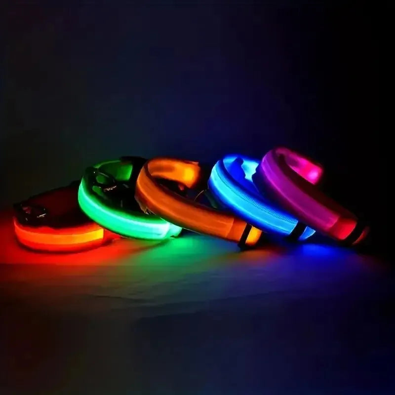 LED Flashing Glow-in-the-Dark Nylon Dog Leash