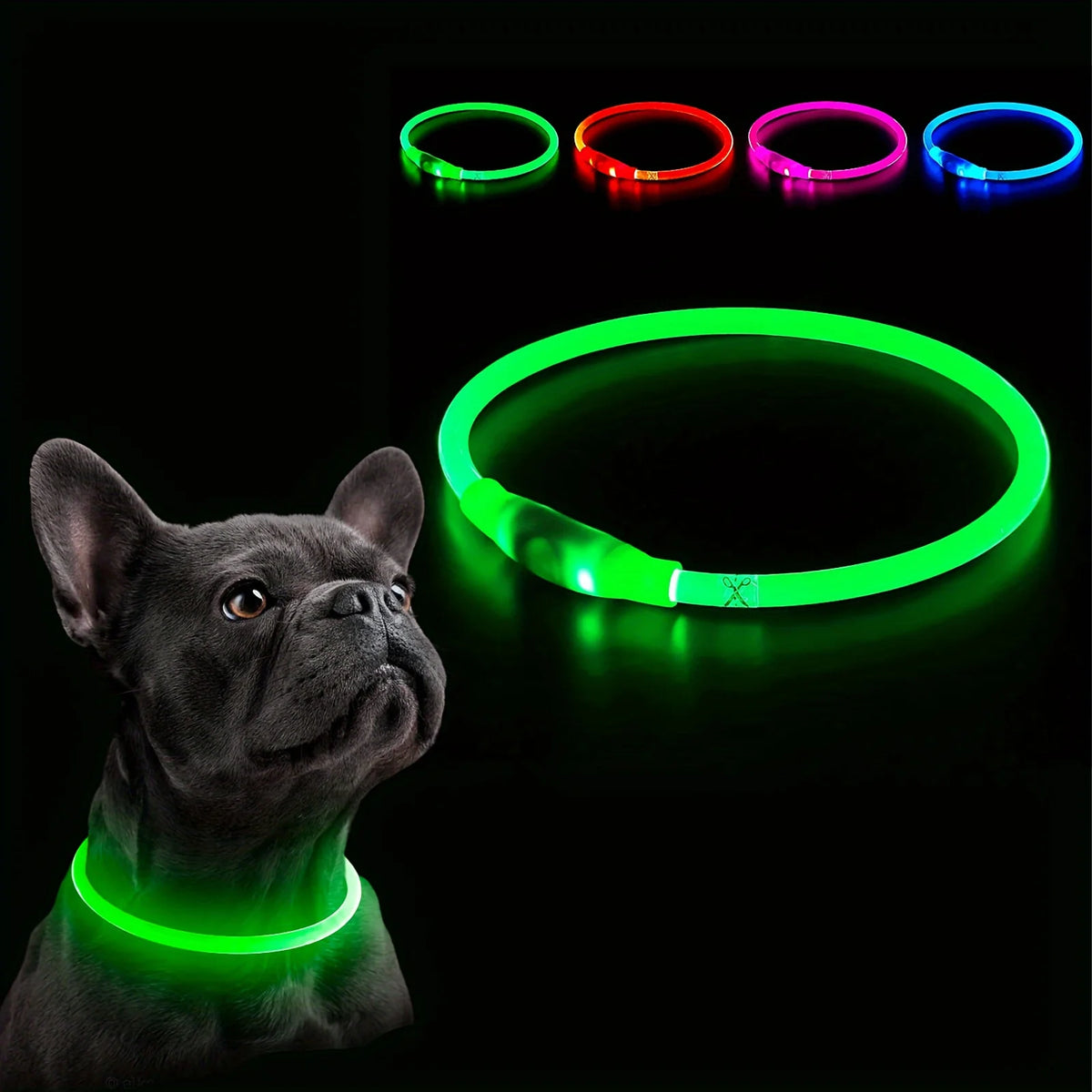USB Rechargeable LED Light-Up Dog Collar