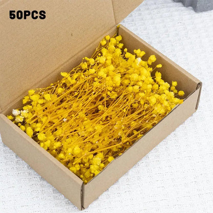 Flower Eternal Dry Flowers Gypsophila Floral Arrangement Dried Flower Creative DIY Home Wedding Decoration Gift 50 Pieces