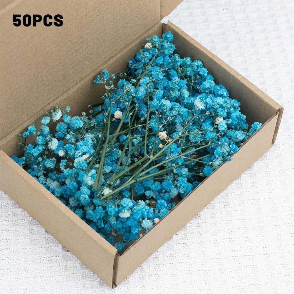Flower Eternal Dry Flowers Gypsophila Floral Arrangement Dried Flower Creative DIY Home Wedding Decoration Gift 50 Pieces