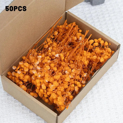 Flower Eternal Dry Flowers Gypsophila Floral Arrangement Dried Flower Creative DIY Home Wedding Decoration Gift 50 Pieces