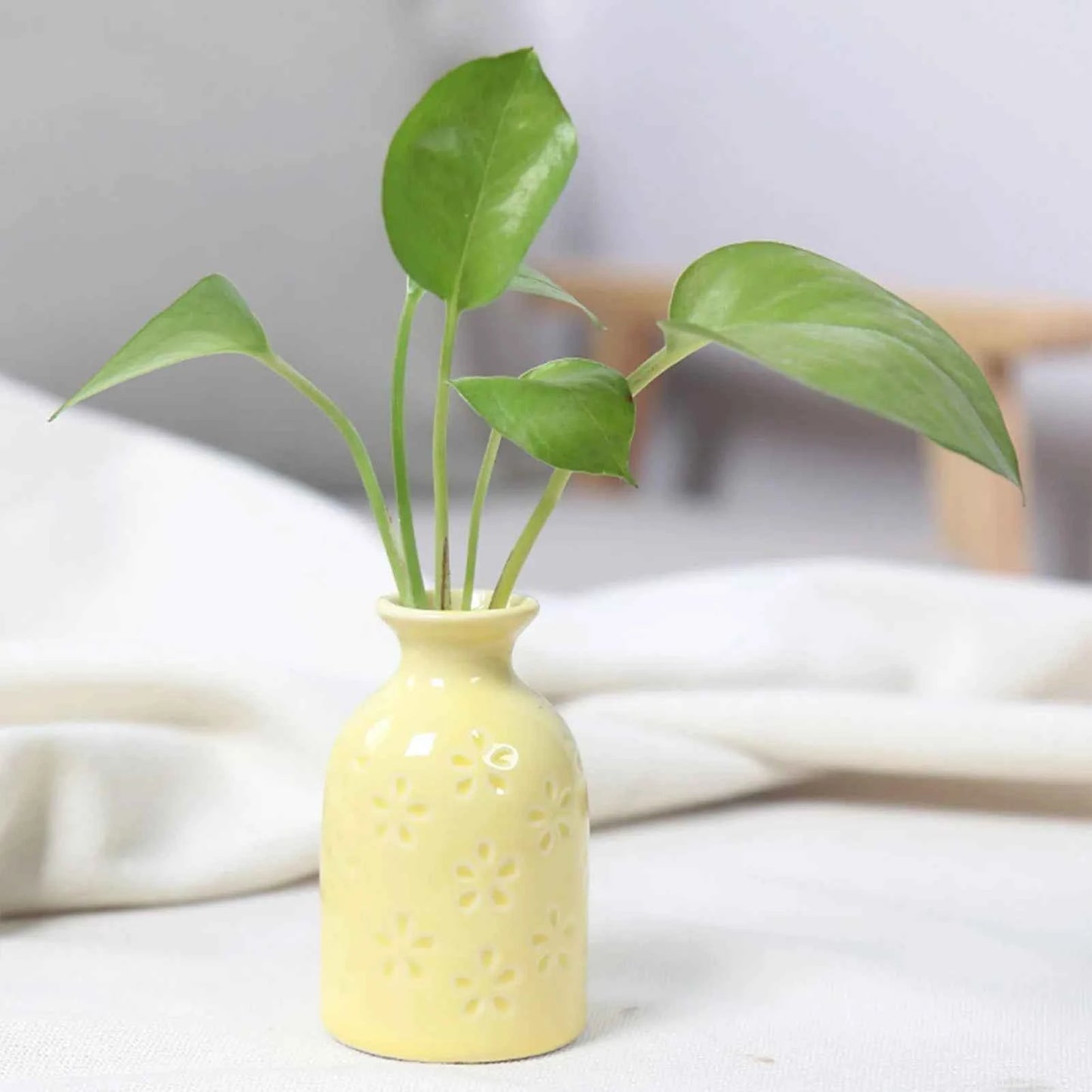 Ceramic Flower Vase Pot Hydroponic Bottle Creative Vase for Plants Office Desktop Ornament Home Room Decor Garden Flowerpot