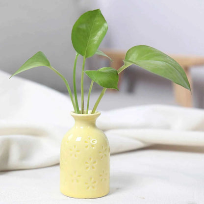 Ceramic Flower Vase Pot Hydroponic Bottle Creative Vase for Plants Office Desktop Ornament Home Room Decor Garden Flowerpot