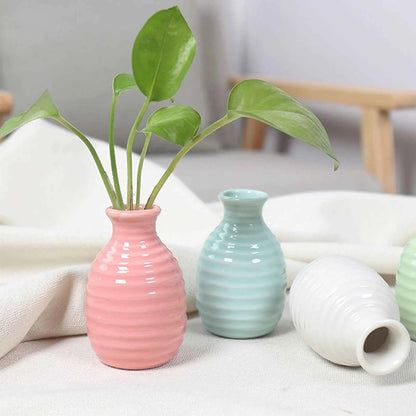 Ceramic Flower Vase Pot Hydroponic Bottle Creative Vase for Plants Office Desktop Ornament Home Room Decor Garden Flowerpot