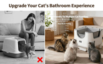 Self-Cleaning Automatic Cat Litter Box, Open Top