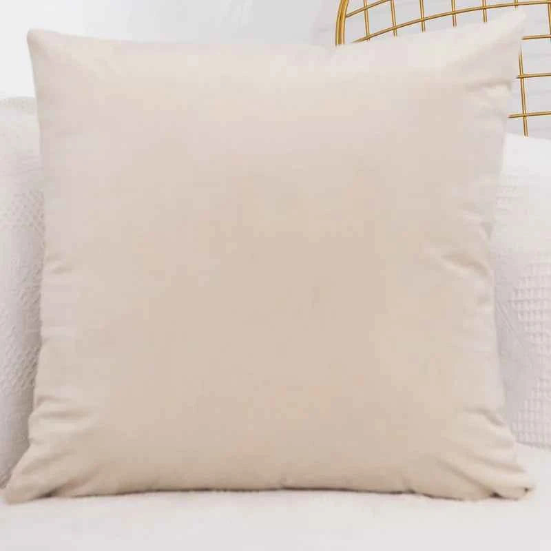 Velvet Throw Pillow Cover Decorative Square Cushion Case for Sofa Bedroom 40x40/45x45/50x50/30x50/55x55/60x60cm Pillowcase