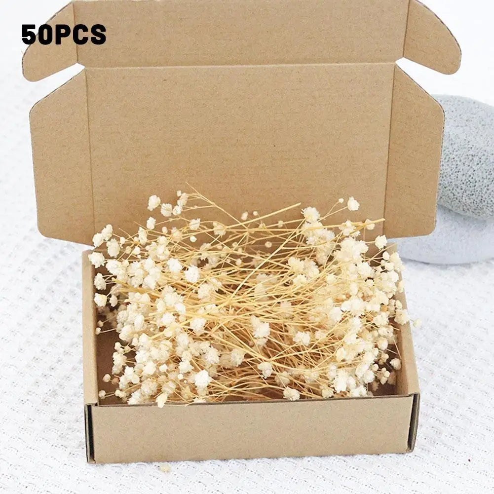 Flower Eternal Dry Flowers Gypsophila Floral Arrangement Dried Flower Creative DIY Home Wedding Decoration Gift 50 Pieces