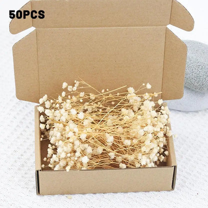 Flower Eternal Dry Flowers Gypsophila Floral Arrangement Dried Flower Creative DIY Home Wedding Decoration Gift 50 Pieces